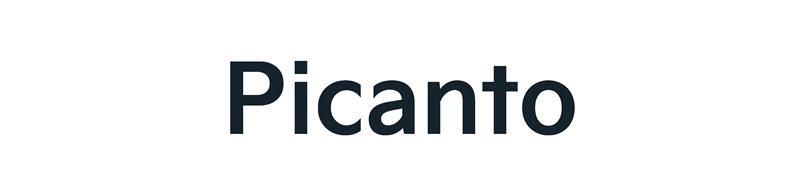 Nummerntafeleinlagen Picanto Picanto Nummerntafeleinleger