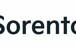 Sorento Nummerntafeleinleger