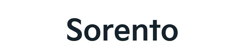 Nummerntafeleinlagen Sorento Sorento Nummerntafeleinleger